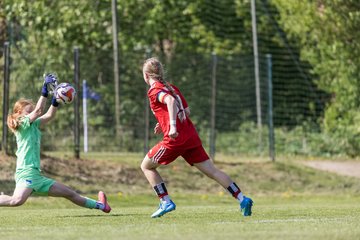 Bild 437 - wBJ Hamburger SV - Hertha BSC : Ergebnis: 5:2